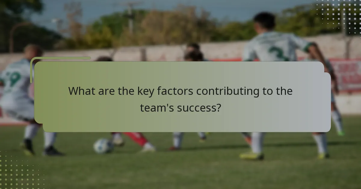 What are the key factors contributing to the team's success?