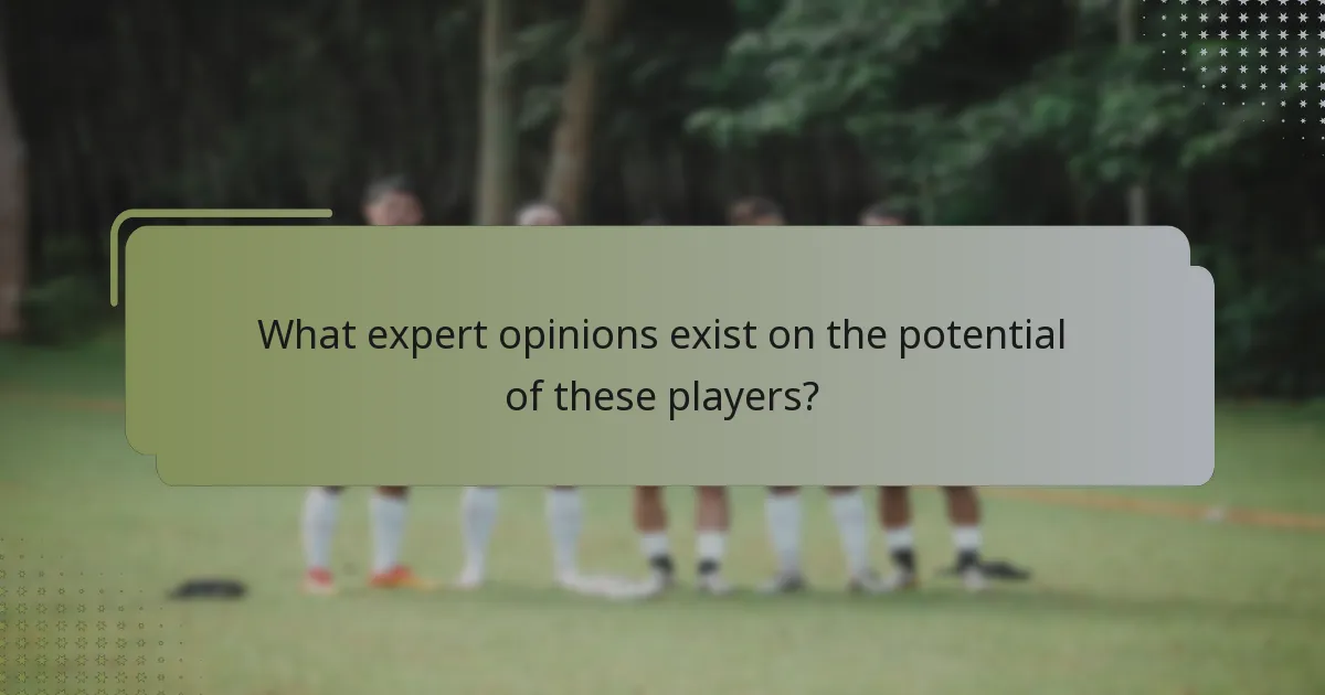What expert opinions exist on the potential of these players?